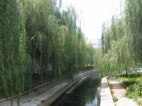 Albums/20060800-China Aug 2006/20060804-Shenyang University/24